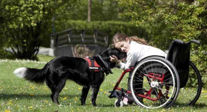 Una delle immagini presenti nel sito dell’organizzazione americana Assistance Dogs International.