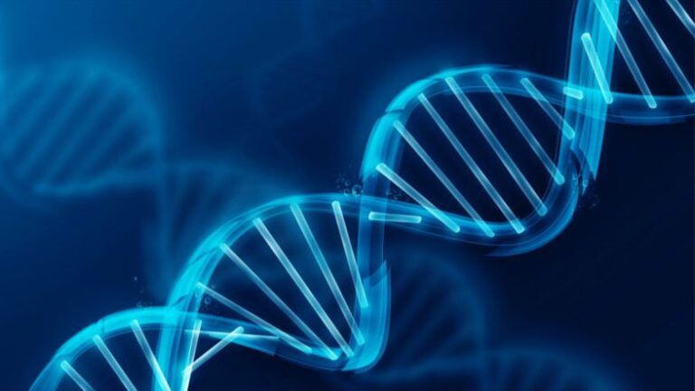 Un’illustrazione grafica raffigura la struttura elicoidale del DNA.