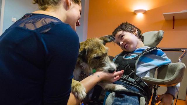 Un bambino con disabilità motoria sorride divertito mentre un cane infila il muso nella mano della sua caregiver.
