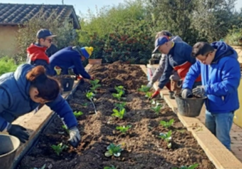 Persone con disabilità impegnate nell’orticoltura