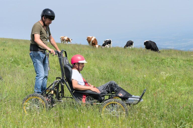 Una persona con disabilità fa una passeggiata su un prato erboso in mezzo alle mucche utilizzando una particolare sedia a rotelle guidata da un assistente personale (foto di Jean-Paul Wettstein su Pexels).